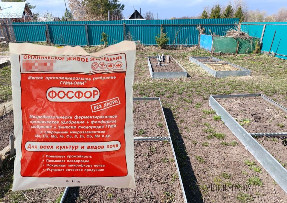 ������ ������ ��������� ��������� � ����� ��������� ���� � �������