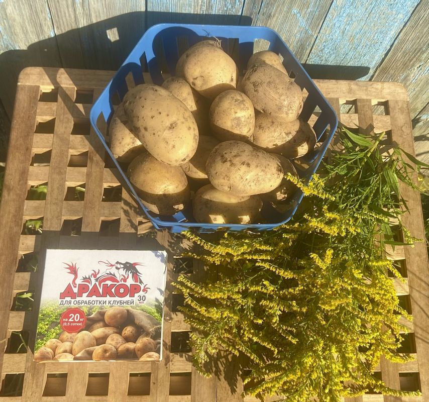 ��� "������" ������� ��������� �� ����������