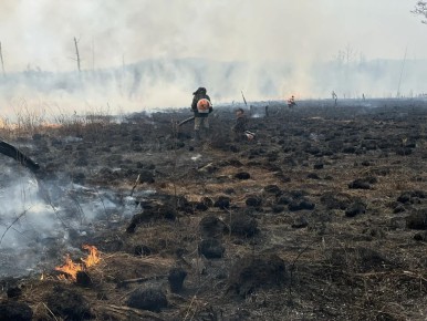 � 3 ������ � ��� ��������� ������ ��������������� �����