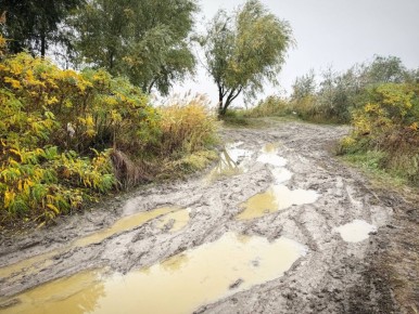 ������� ����: ������� �������� ������� �� ���� ���