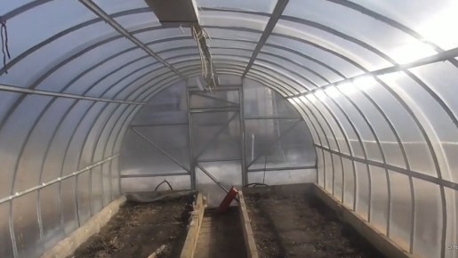 ������� �������� �������: ��� ����������� �� ����� �� ��� ��� � �������� ������ �� 60%