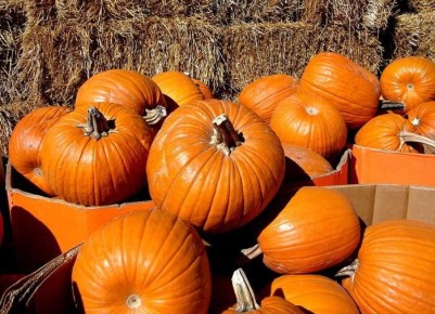 ��� �������� �����: ���� ����������� � �������� ������