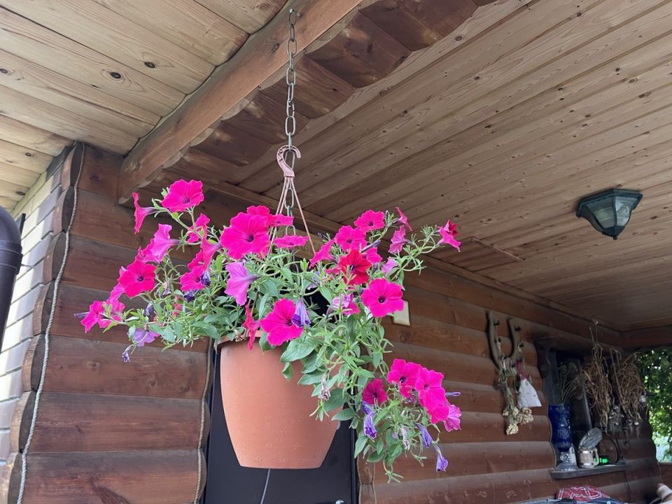 �������, ������ � ����������: ��� �������� ��� �����?