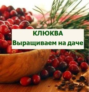 ������: ������, ���� � ������� ��������� �����������