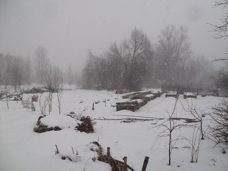 ����������� ������� � ���������: ������� ����� ��� ����������� ��������