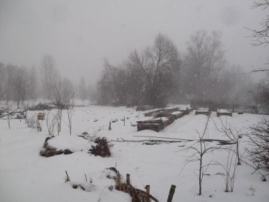 Выращивание рассады в упаковках: удобный метод для современных дачников