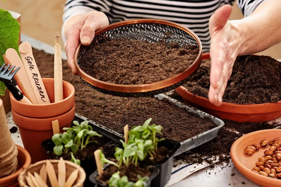 ������ ��� ��������� ��������: ��� �������� �������