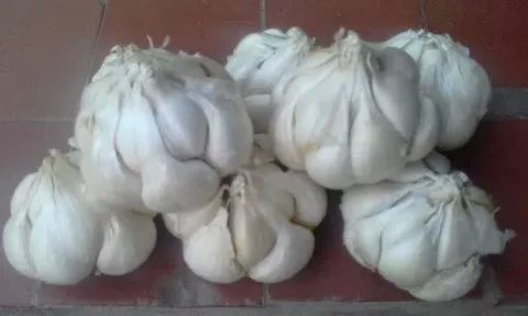 ������ ������: �� �������� �� ������