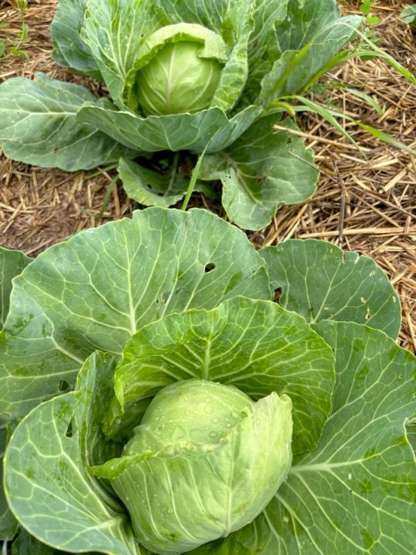 ������� ��� ������� ���� � ����������� ��� � ����� ������