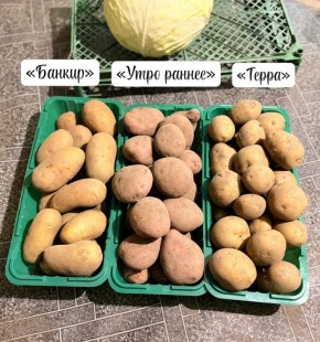 ��� ���������� ������� ������ �� ��������: ������� � ������� �����