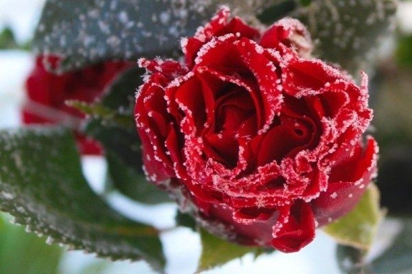 ��� ��������� ���������� ���� ����� ������� �����