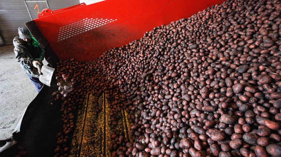 ������������� ��������� �������� �� ����������� ����