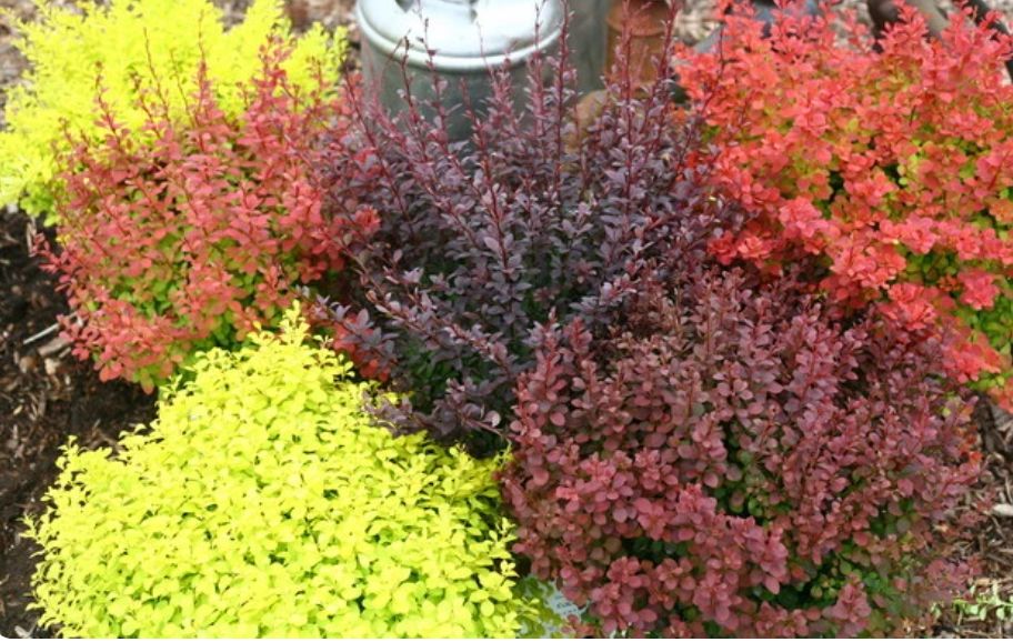 �������� ��������: �������� ��� ������ ����