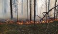 Внимание! Пожароопасный период в разгаре!