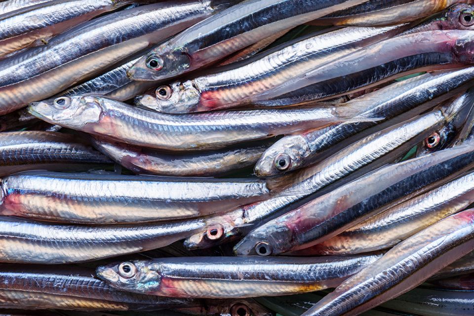 ���������� �������: ������� ��� ���������� ����������