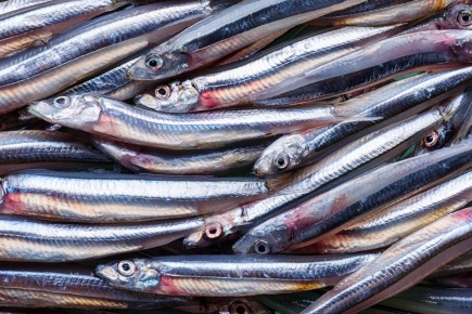 ���������� �������: ������� ��� ���������� ����������