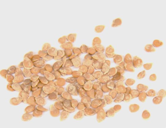 ������ ������: ����������� ���������� ��� ������ ������