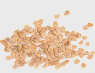 ������ ������: ����������� ���������� ��� ������ ������