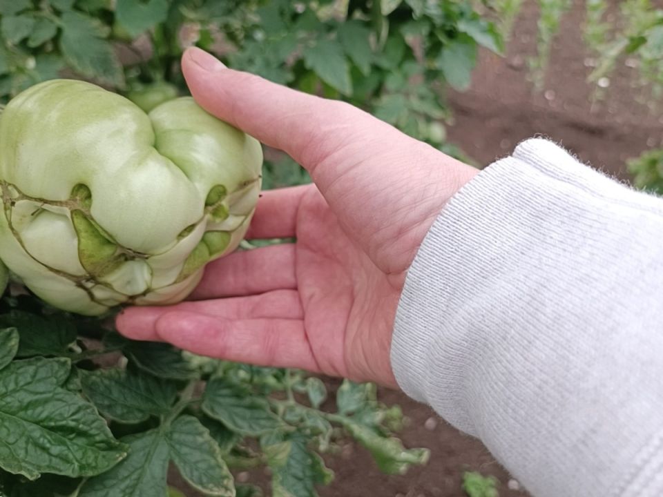 ������ ���� ������ ����� ��������� �������: �������� ����� �����������