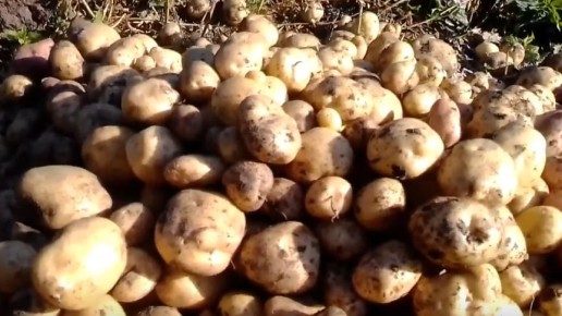 ��� ��������� ������ �������� �������� ������ ��������� ��� �����