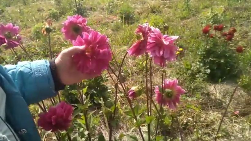 ��� ������ ������� ��������: �������� ������� ������������