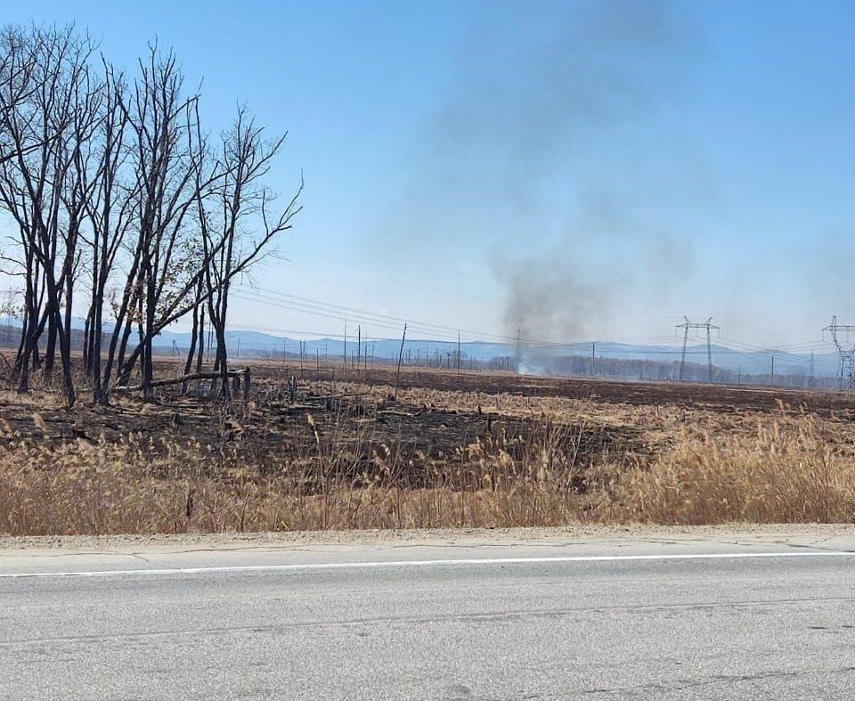 � ����������� ��������� ������������� ������