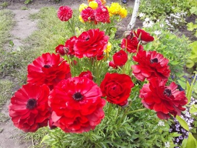 ������-�����������: ��� ��� �� ��������� ����������� � ����� ������