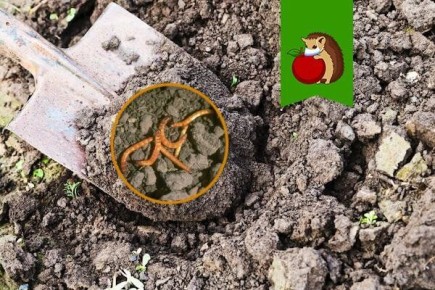 ��� ���������� �� ������������: ���������� ������ � ������������ ������ ������ � ����������