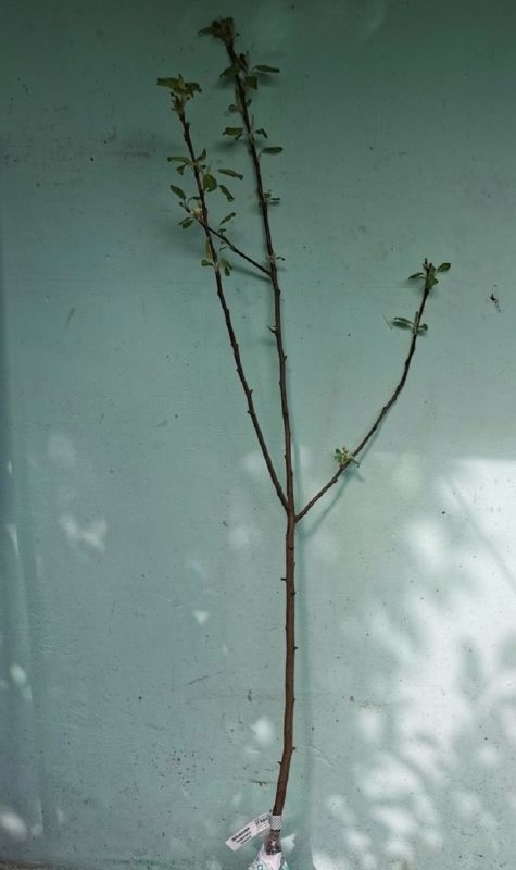 ��� ������� �������� ������ ���������� � ������ ����� � ����: ������� �������� �������