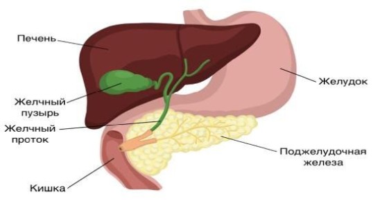 ��� ������ ����� �������� �������� ������: ��� ���������� ������� � ��� ����?