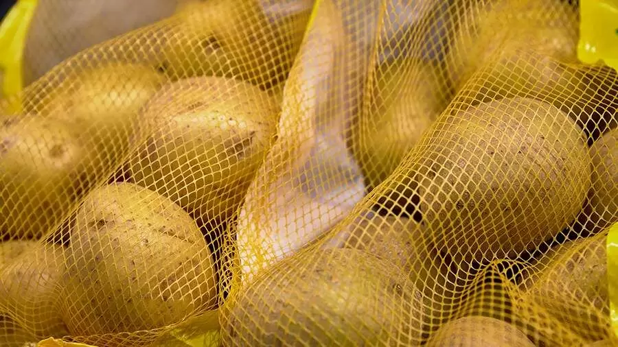 Где картошка по самым низким ценам: свежие данные