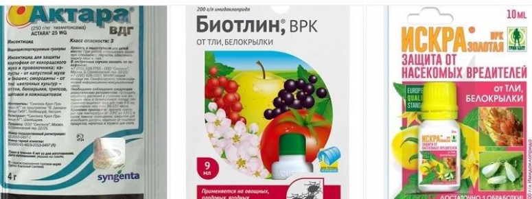 ��������������: ��� ����������� ��������� �������� ������ � ����� ���������������