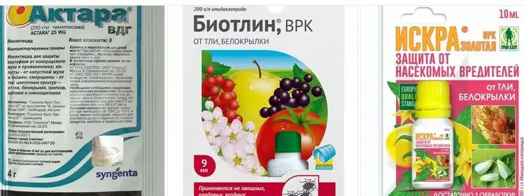 Неоникотиноиды: как современные препараты защищают урожай и несут ответственность