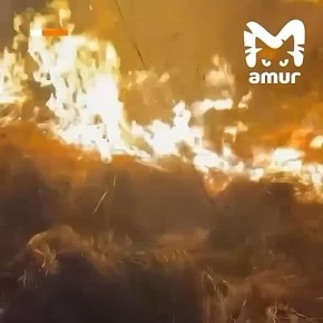 Самый крупный лесной пожар в России полыхает в ЕАО