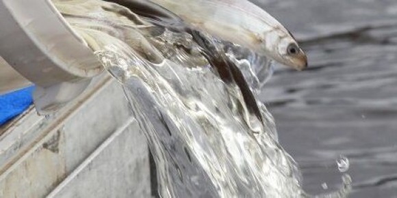 ���������� ����������: ����� 4 ������ ������� ���� �������� � ������� �����