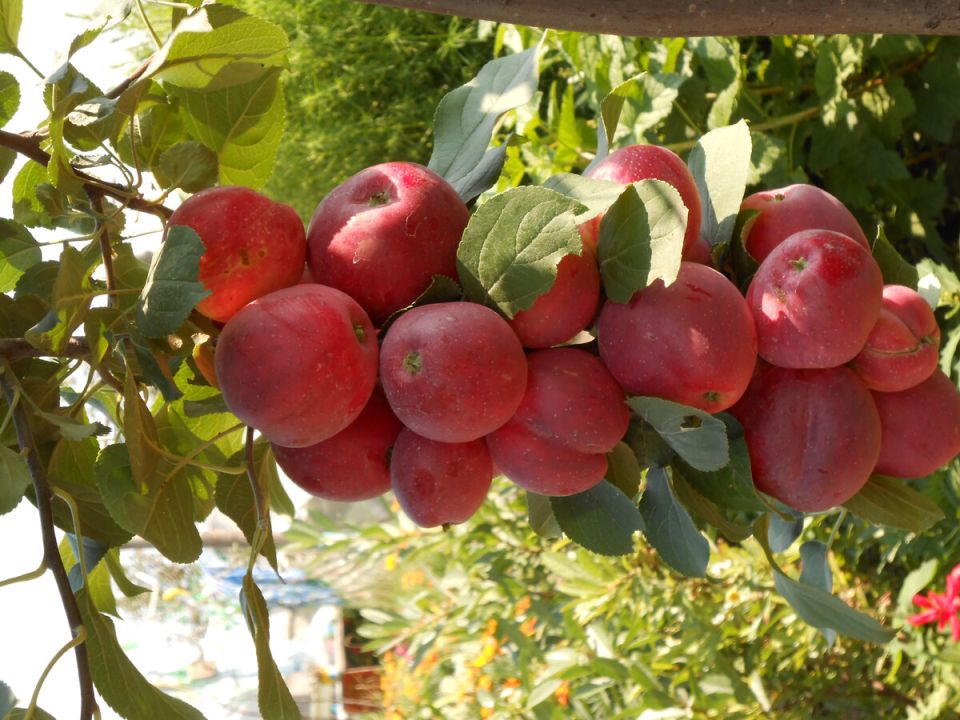 ��� ��������� �������� �������� ������� ��� ������������� ������