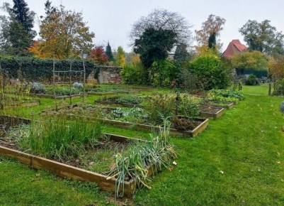 Как защитить огород от летней жары: советы и рекомендации