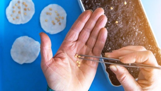 ��� ��������� ������ ����� ������� � ���������� ����� � ������