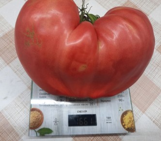 ������ ����� ��������� ������� �������?