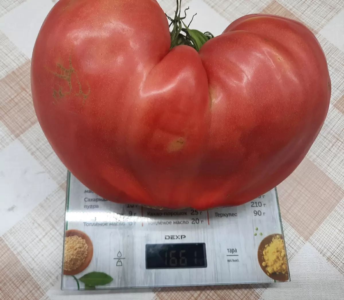 Почему важна подкормка крупных томатов?