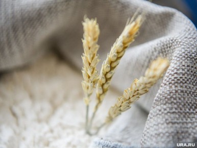 ����� ���� �� ����: ��� ��������� � ������ 2026 ����