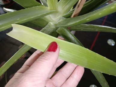 ����������� ������ ��������������� ����� ����� � ������� ���� ����