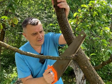 ������� ������� �������: ��� ������� ��� ��������� � ��� ������ ������