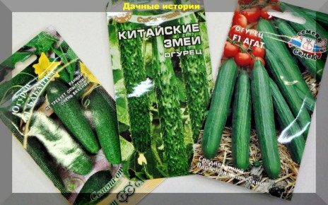 ������� ��������� ������ � ����� �� �������� �������