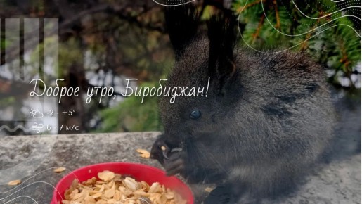 �����, �����������!. ��, ���������� ������: ��� ������� ������ � �� �� �����