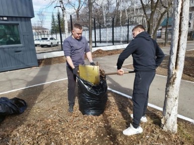 ��������� � ���� ������ �� ���: ���������� ������ ������� �� ����������