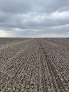 � ��� �������� �������� ������� ������