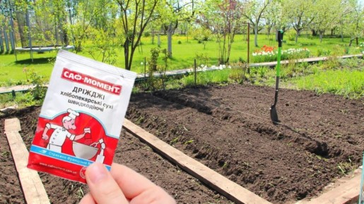 ��������� ������ ��������� ����� �� 27 ������: ����������� ����������� �������