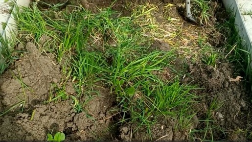 ����������� �������: ��� �������� �������� ����� � ����