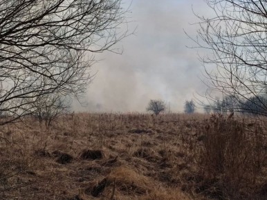 ������ ��������������� ����� � ����������� ����, ����� ���� ������������� ������ � ����������� ������� ���������� ���������� �������